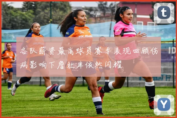 各队薪资最高球员赛季表现回顾伤病影响下詹杜库依然闪耀