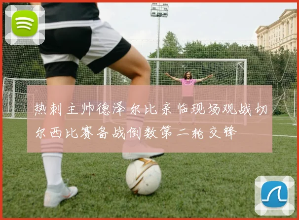 热刺主帅德泽尔比亲临现场观战切尔西比赛备战倒数第二轮交锋